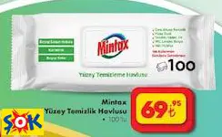 MİNTAX YÜZEY TEMİZLİK HAVLUSU 100'LÜ